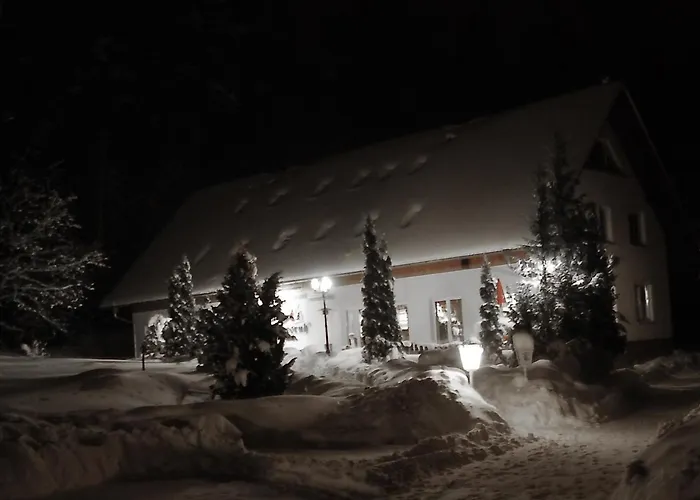 Haus Waldesruh ホテル